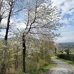 Prázdninový dům Jawornica House Z Pieknym Widokiem *