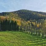 Ferienhaus Jawornica House Z Pieknym Widokiem *