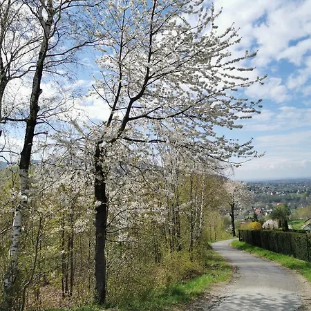 Feriehus Jawornica House Z Pieknym Widokiem *